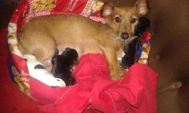 10432543_885270521507227_2028161317966259726_n